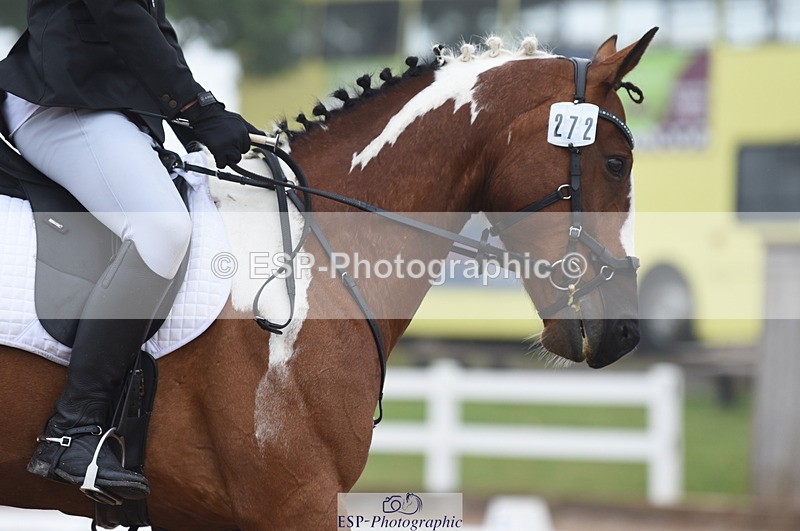 230708A-143826-03087 - Novice 24