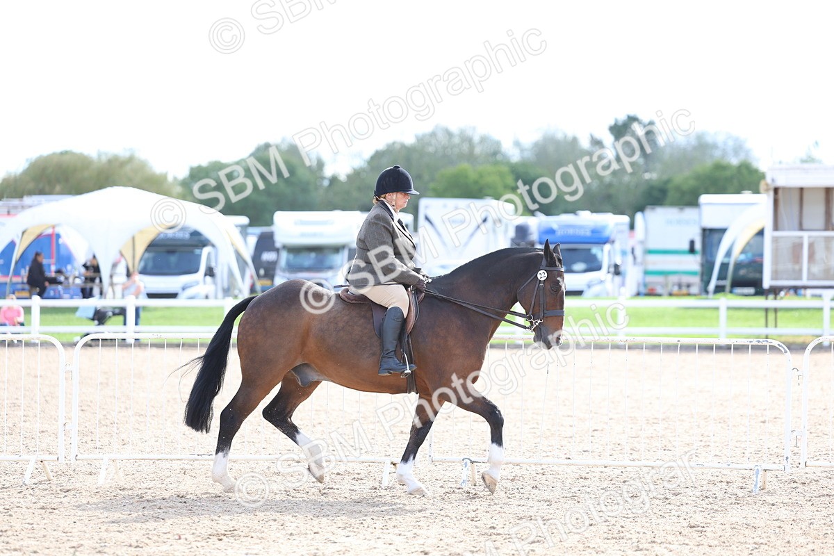 SBM_17105 - Class 315 - Best Horse - Rider Combination