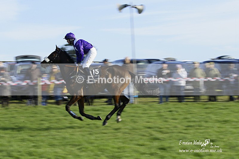 PtP 300122 165 - South Dorset Hunt - Point-to-Point Races 30/01/2022