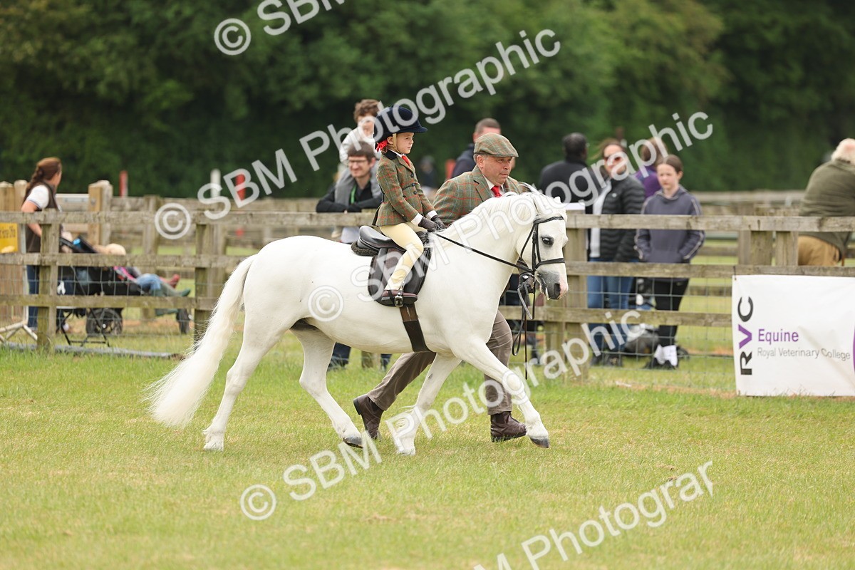 SBM_06677 - Class 74-75 - M&M Lead Rein and First Ridden Pony