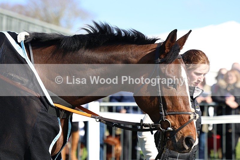 3E7A5630 - Race 6: Maiden (NWFAA)