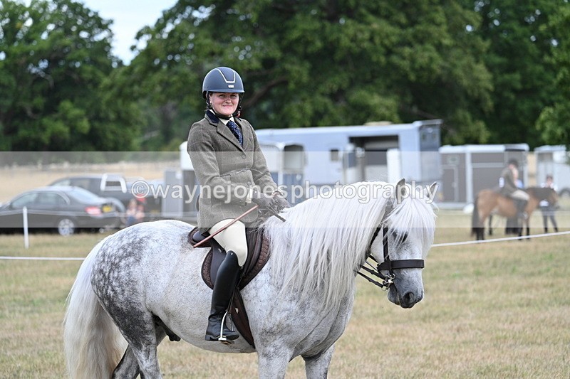 WJ7_5439 - Class 12 Ridden Cob