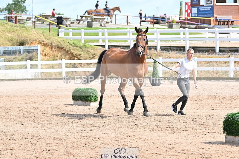 240717A-155337-03147 - Trot Up 3pm to 4pm