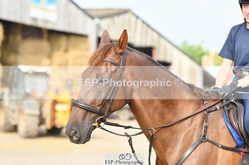 230817-084546-01582 - Kay's 1st Group - Arena