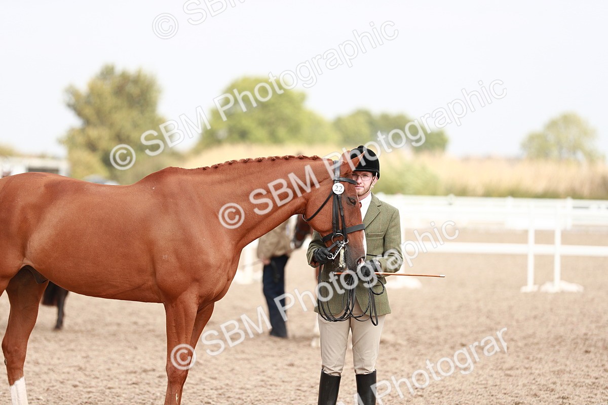 SBM_13248 - Class 208 IH Veteran Horse