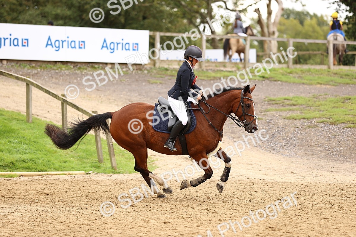 SBM_62984 - Supreme Championship 95cm 1.00m