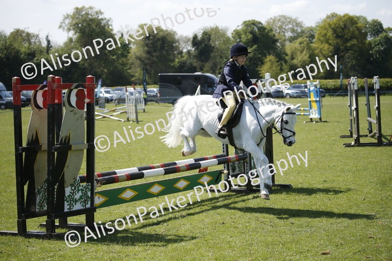 20250427-2310 - Class 13 - Novice Jumping 60cm
