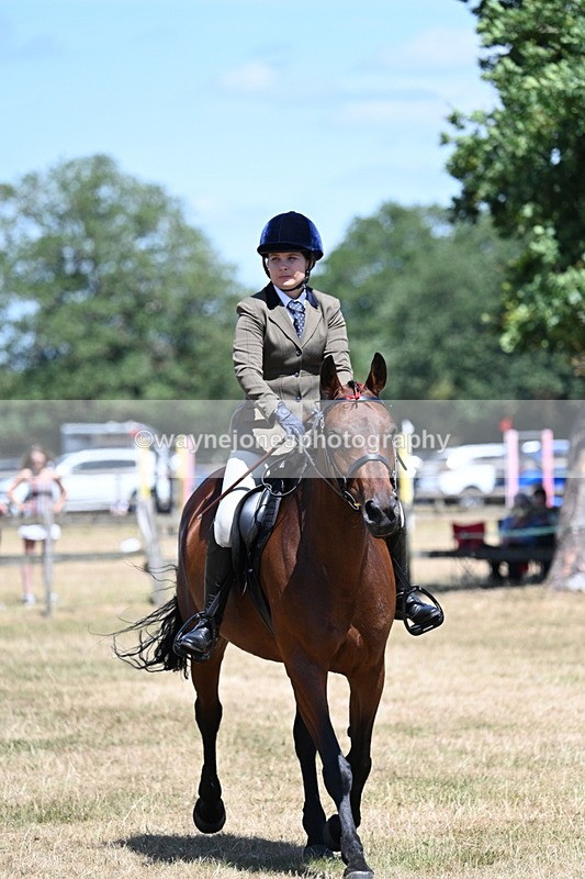 WJ7_3046 - Class 7 Riding Club Show Horse