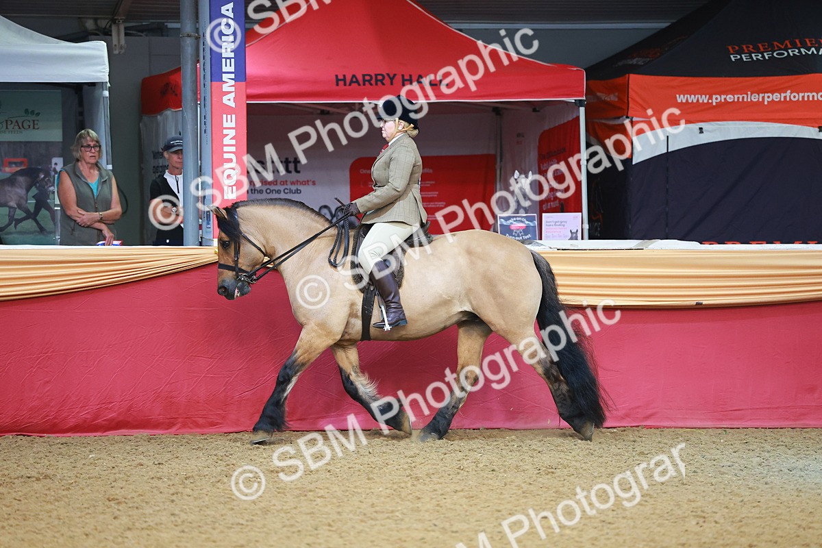 SBM_09478 - Class 102 - HOYS Veteran Qualifier - Ridden Veteran