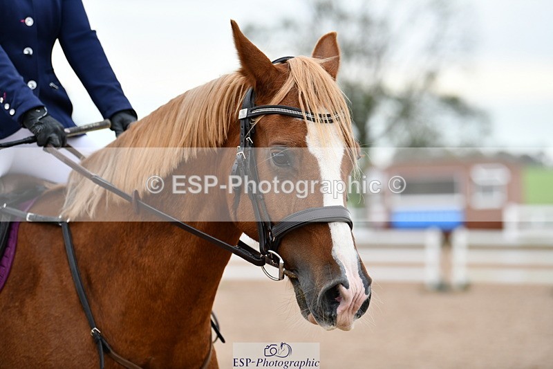 241013B-161625-02127 - Cls 7 90cm