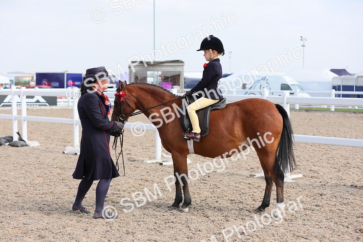 SBM_14062 - Class 309 Lead Rein Pony