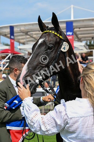 260725-Race 3-Royal Champion-0548 - Race 3 2.40pm Sky Bet York Stakes