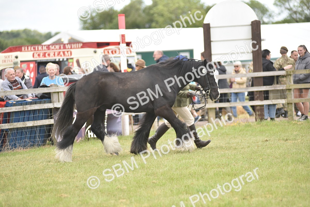 SBM_15978 - Class 117-122 - SSADL RIHS Qualifier