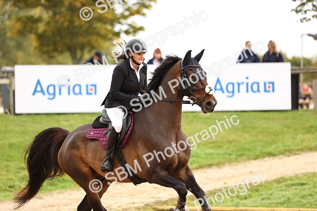 SBM_58544 - J41 - Grand Tour Horse & Pony 95cm