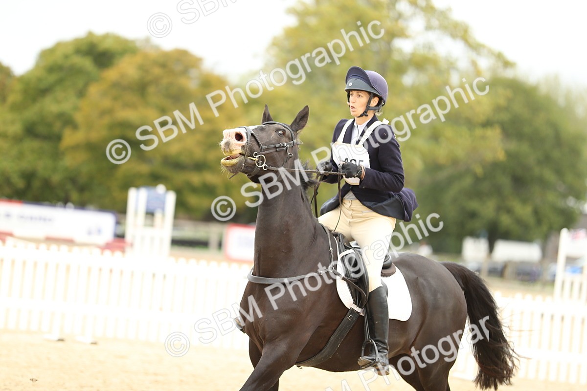 SBM_65939 - J48 - Pairs Jumping Open 70cm & 85cm