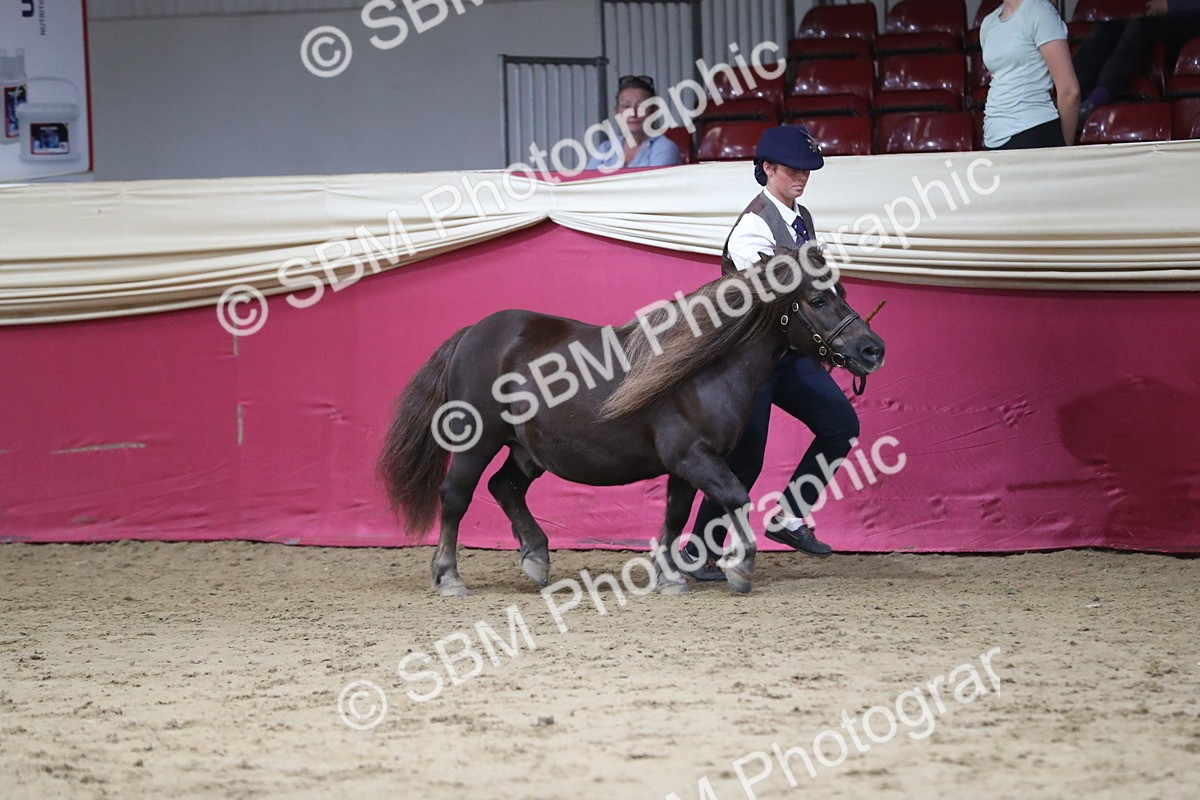 SBM_05002 - Class 8R- Regional -IH Veteran