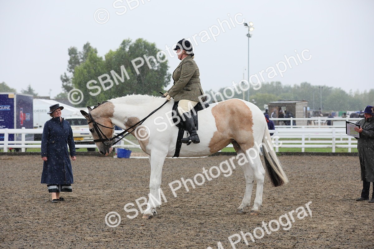 SBM_20346 - Class 803 - Ridden Combination 65+