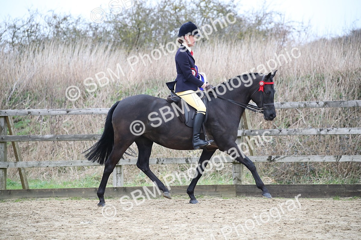 SBM_004813 - Class 5-9 - NPS In Hand-Show Hunter-Intermediate Ridden Inc Ridden Championship