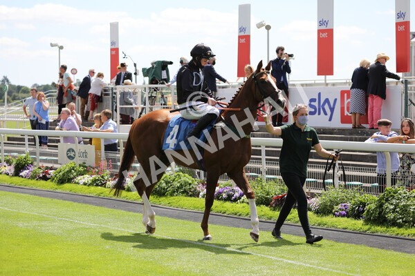 yr12062021r1-2 - Race 1 2.00pm Queen Mother's Cup