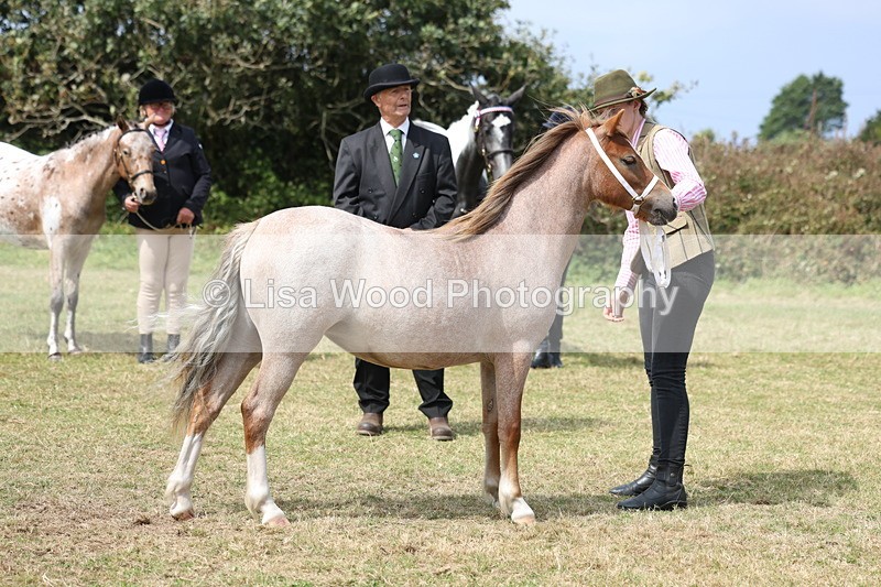 3E7A5413 - Class 19: Best Coloured in Hand