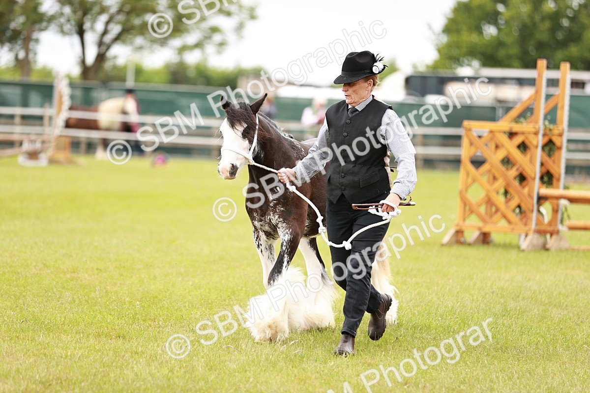 SBM_05971 - Class 39-41 TGCA In Hand and Ridden