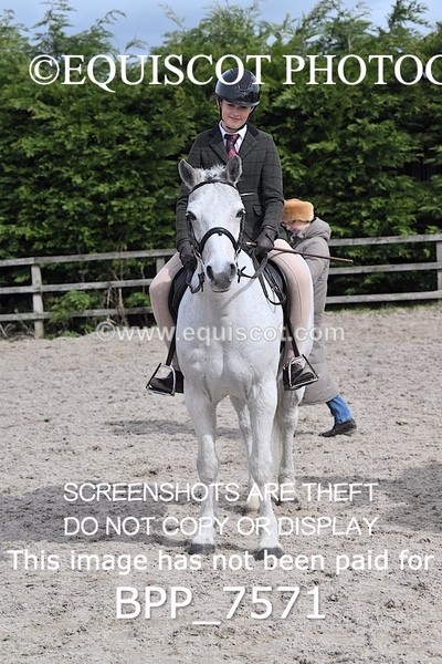 BPP_7571 - RING 1  (RIDDEN HORSES / IN HAND / VETERAN ETC)