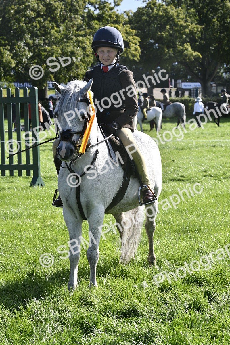 SBM_37249 - S31 - Novice & Newcomer Working Hunter Pony