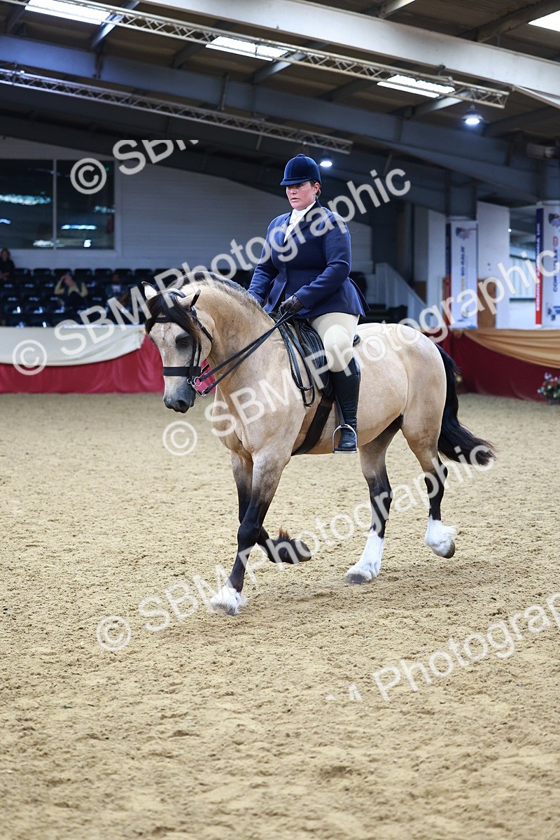 SBM_23437 - class 906 - Supreme Final - Ridden Pre Vet