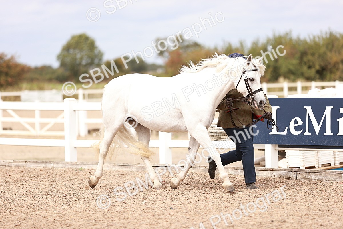 SBM_16302 - Class 413 - Best Condition - Adult