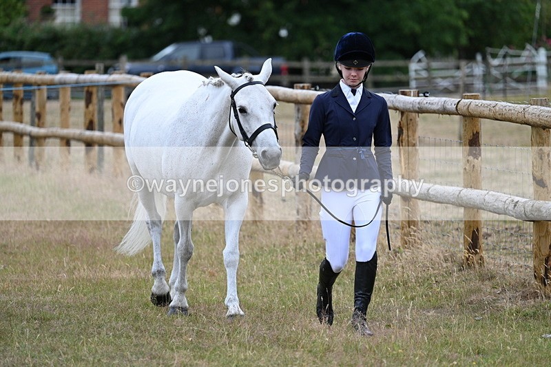 WJ7_9049 - Class 4a Prettiest Mare 14.2hh and over
