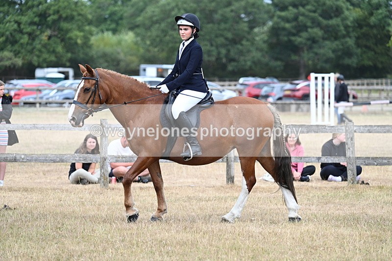 WJ7_1284 - Class 8 Ridden Veterans