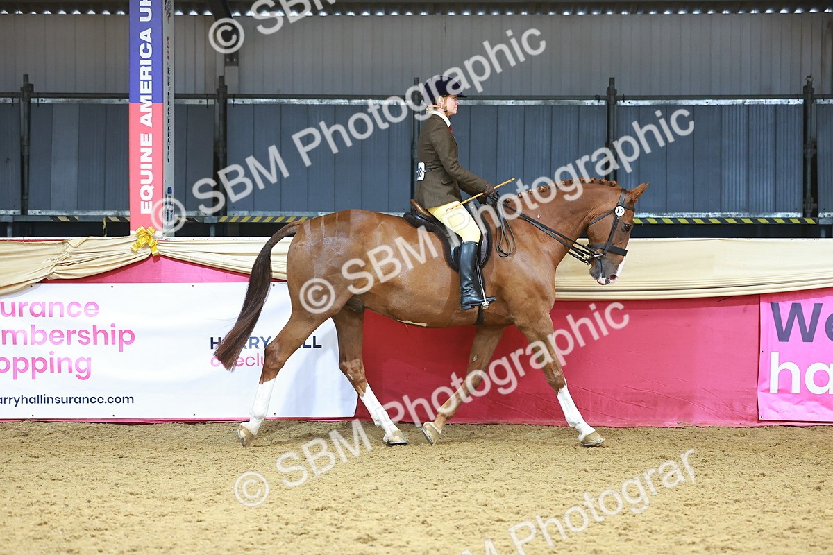 SBM_12423 - Class 103 - HOYS Veteran Qualifier - Ridden Pre Vet