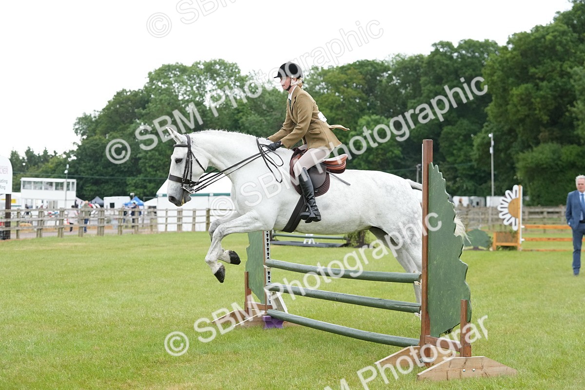 SBM_12523 - Class 97-98 - LIHS BSHA Rising Star Working Show Horse Hunter