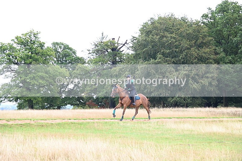 DSC_3729 - Time at Statue 13:51 to 14:55