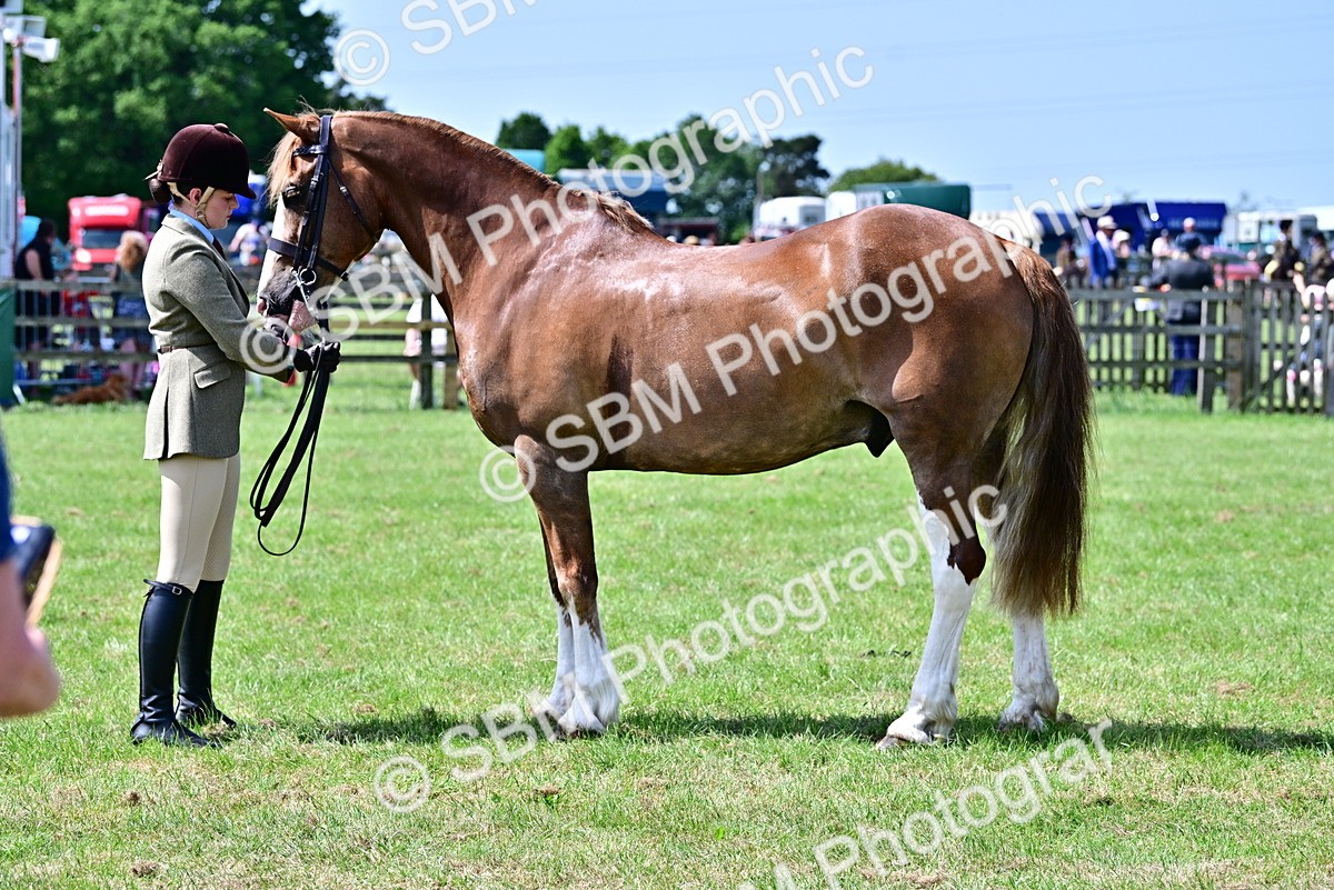 SBM_03909 - Class 58 - TSR  Ridden Veteran Amateur of the year