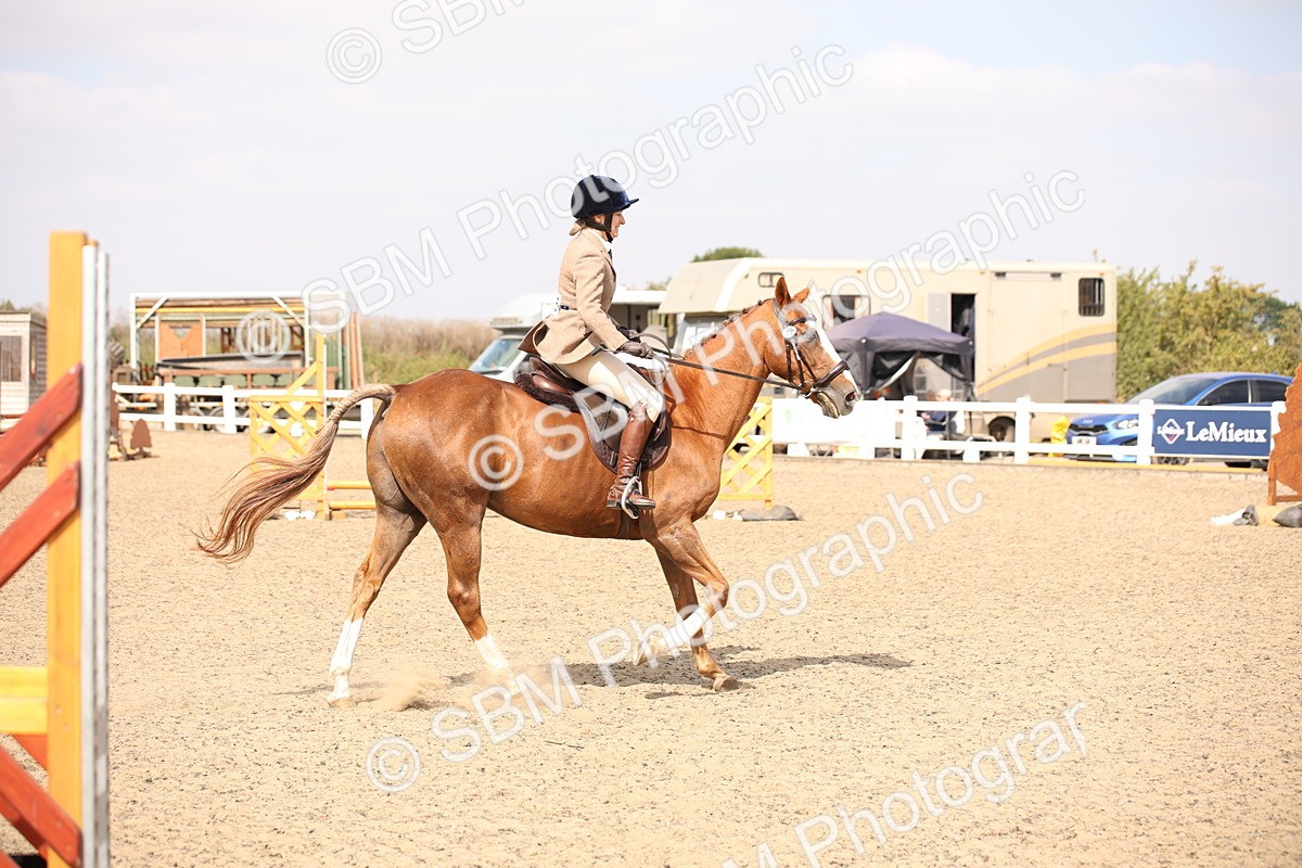 SBM_13600 - Class 406b - Working Veteran 50cm (20+)