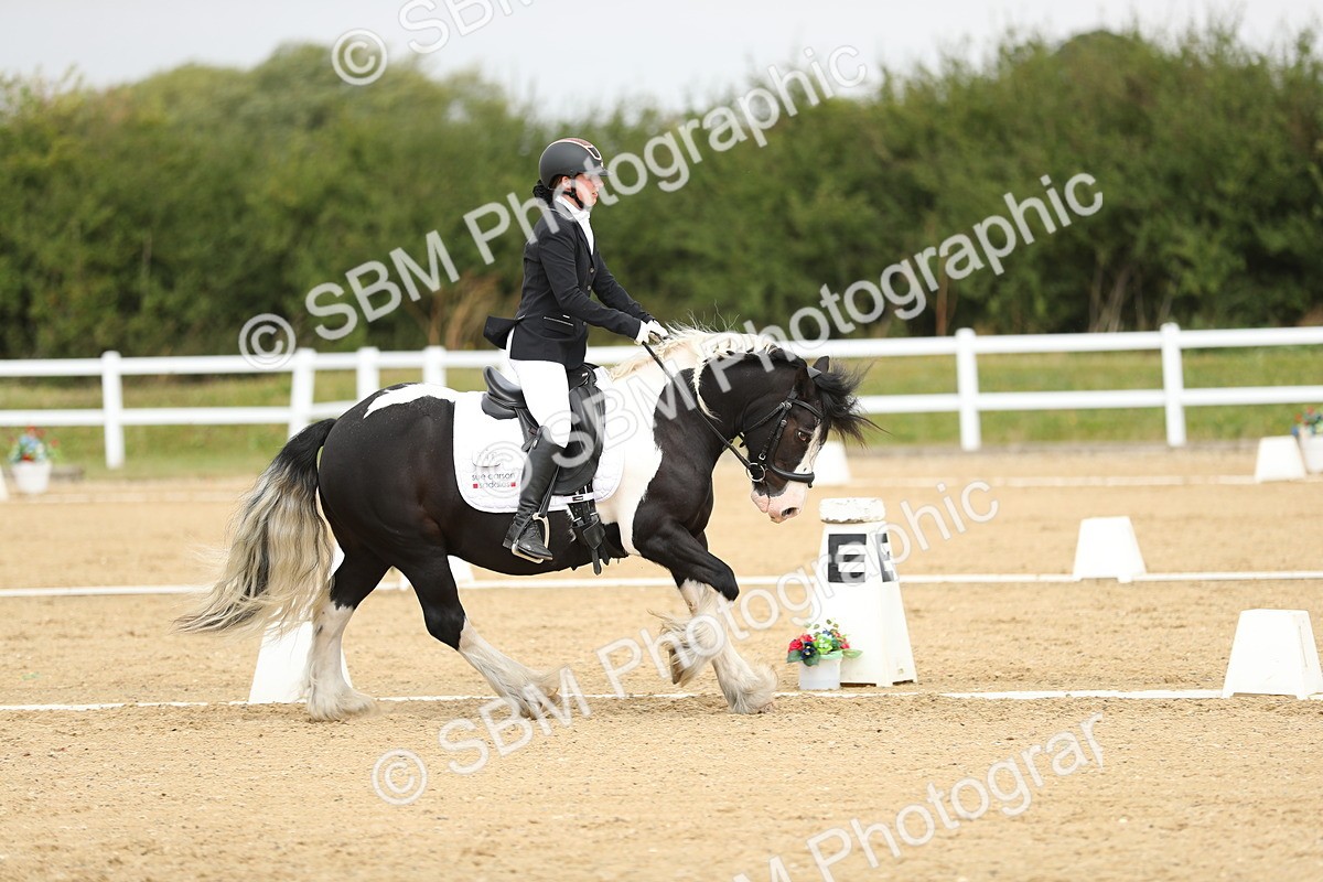 SBM_016454 - Class 13 - Novice 23 - 11.25-12.35