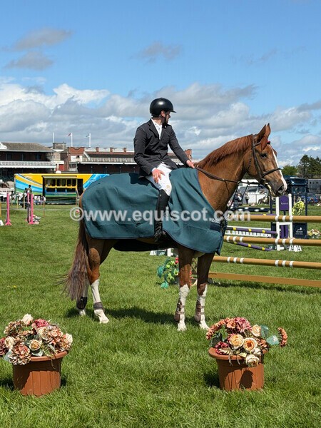 IMG_0444 - CLASS 3 ANDREW HAMILTON RHS FOX CHAMP QUAL