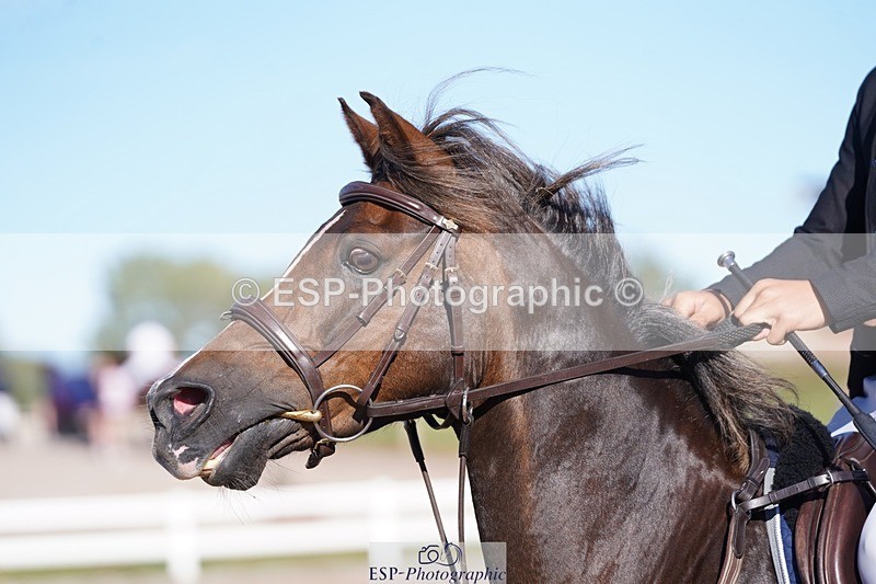 250627-181556-00365 - Cls 4 Pony 1m Open