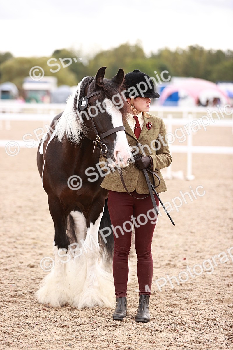 SBM_18490 - Class 420 - Ridden M&M