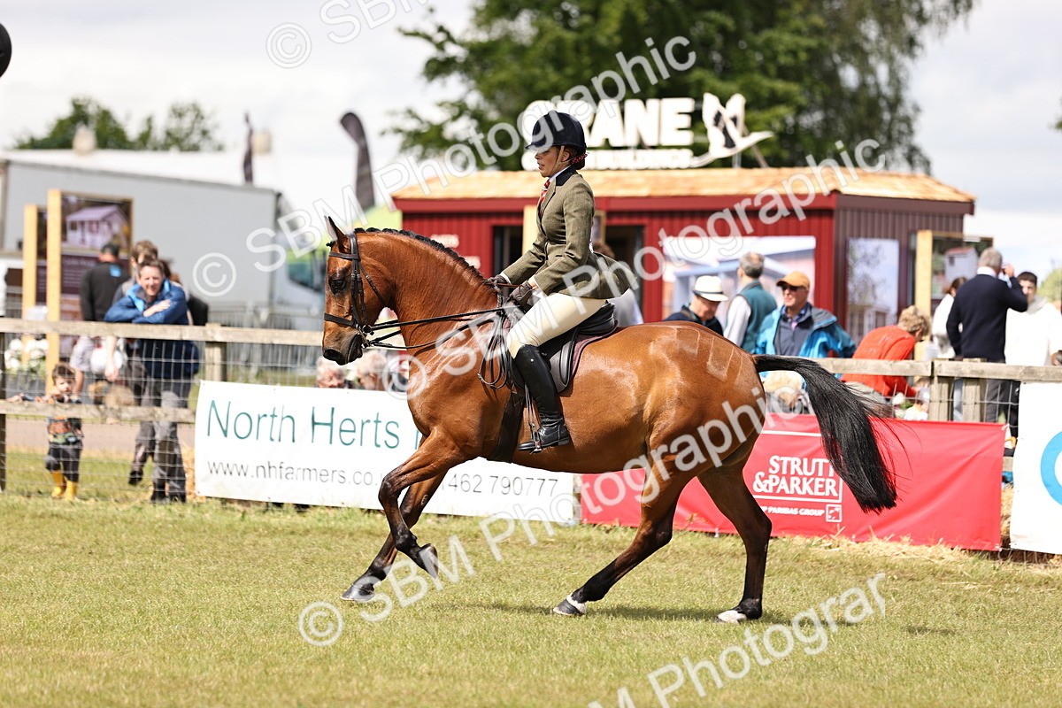 SBM_14563 - Class 88-89 - LIHS BSHA Rising Star of Ridden Hunter Type