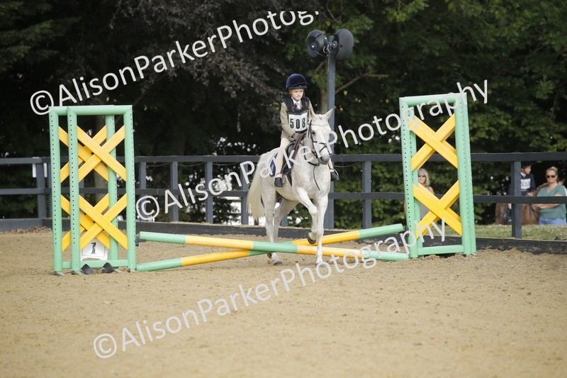 20250622-1224 - 40cm