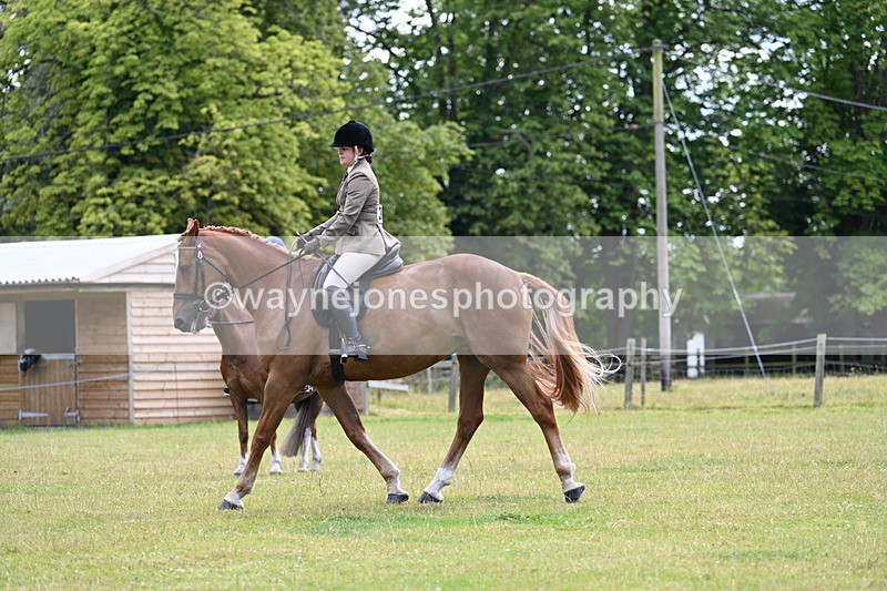 WJ7_9278 - Class 8 Ridden Veterans