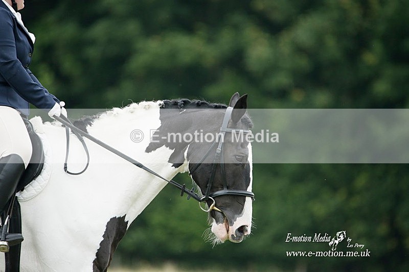BVRC 030721 302 - Bourne Valley Riding Club Dressage 03/07/21