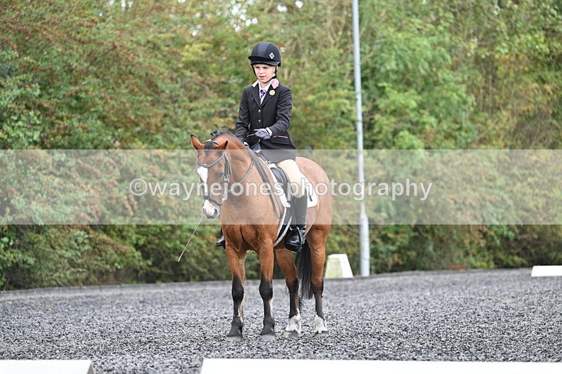 WJ7_4039 - Time 11:04 to 11:38