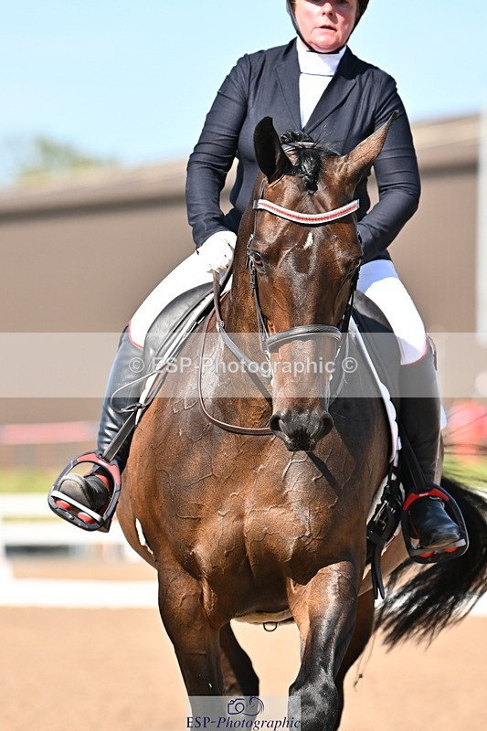 240816A-161548-06124 - 311-JANE.GREGORY-RUTHIES.DREAM