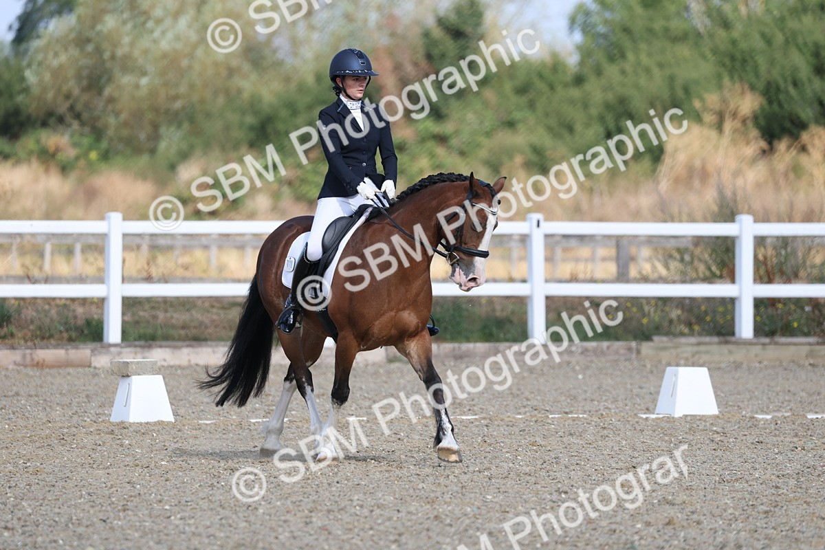 SBM_020274 - Class 21 - M5 Bronze 9.30.10.34