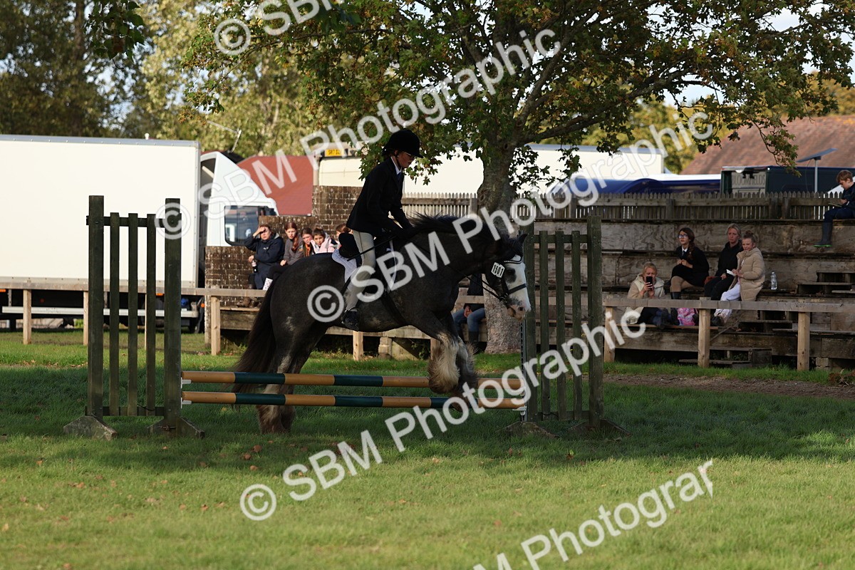 SBM_52487 - S13 - Pony Club Pony