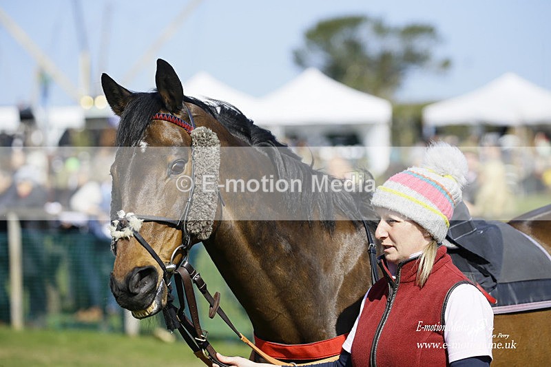 PtP 190322 347 - Wilton Hunt PtP Milborne St Andrew 19/03/22