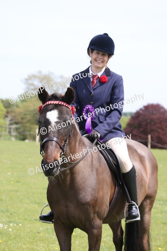 20260426-4031 - Class 33 - Best Pony 14.2hh and Under